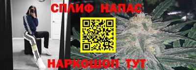 шишки Среднеуральск