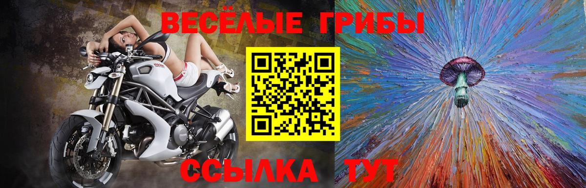 Псилоцибиновые грибы мицелий  Вход с VPN  Наро-Фоминск 