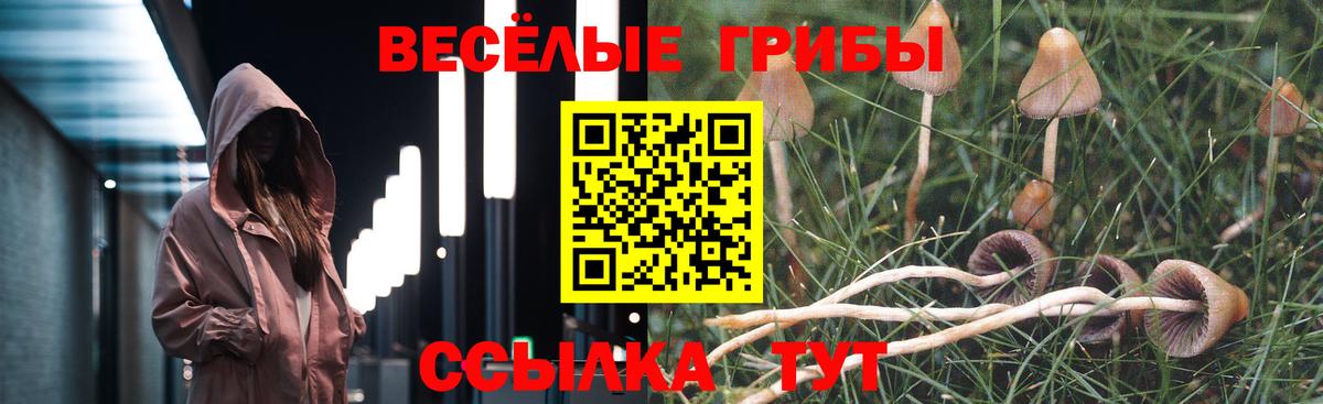 ГАШ Наро-Фоминск